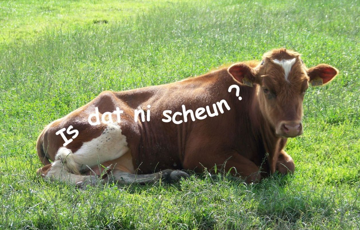 Is dat ni scheun
